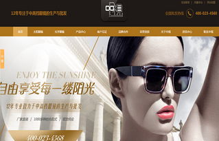 廣州中視眼鏡營銷型網(wǎng)站建設案例 構建線上視力健康門戶，驅動眼鏡銷售增長